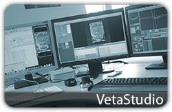 VetaStudio